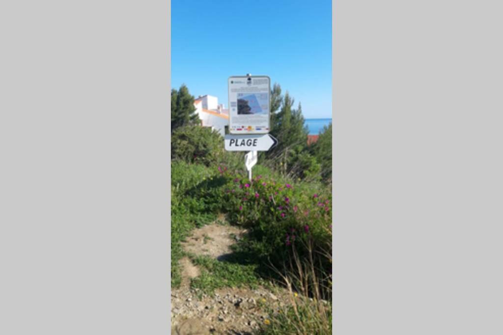 Appartement F2 Proche Des Criques Et Thalasso Banyuls-sur-Mer Bagian luar foto